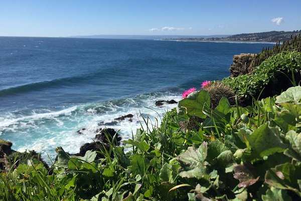 Playa Punta de Lobos